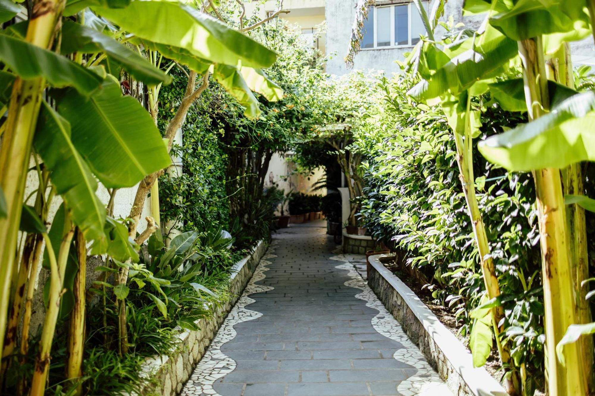 Hotel Terme Zi Carmela Forio di Ischia Екстериор снимка